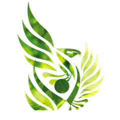 Stylized green and yellow eagle with outstretched wings, holding a circular object in its talon, on a white background.